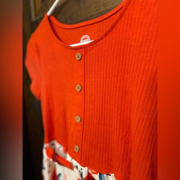 Apple Chiffon Dress - Picture 5 of 5